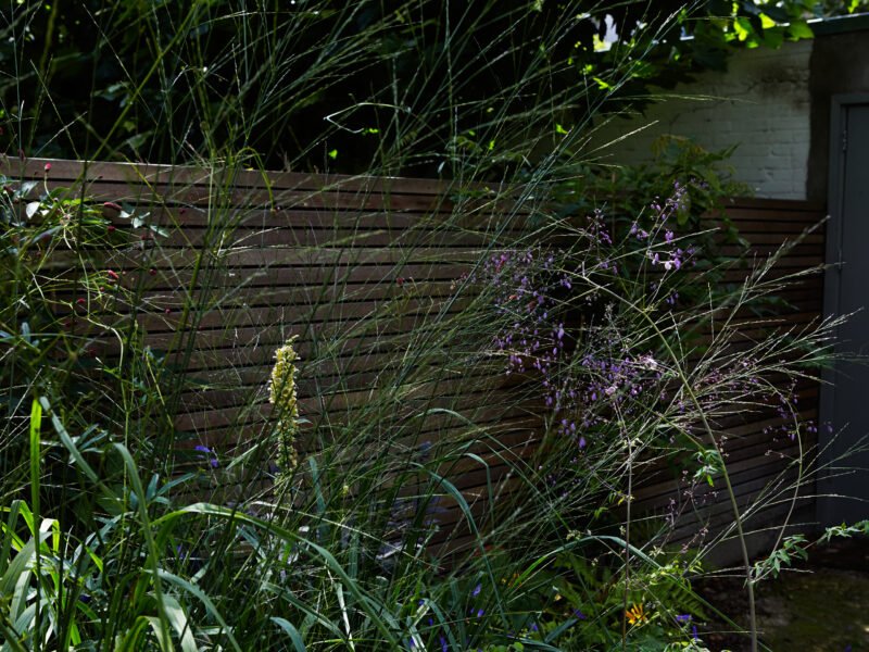 natural see through planting garden design Amsterdam